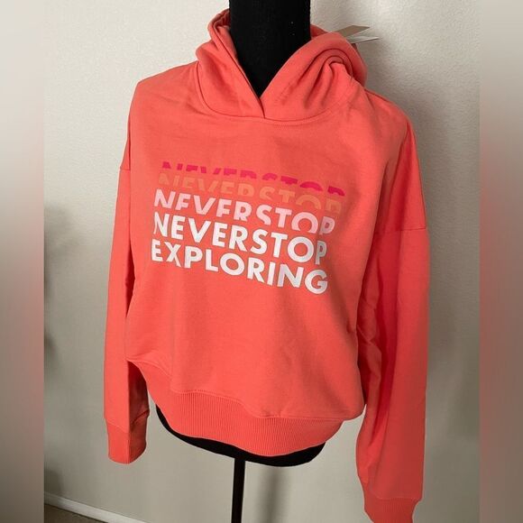 NWT The North Face Logo Play Hoodie - Picture 3 of 11